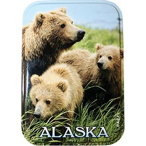 PLAYING CARD TIN BEAR FAMILY