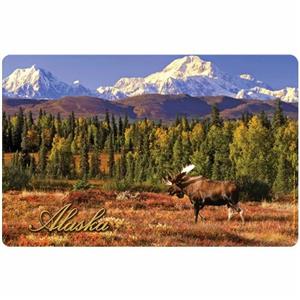PLACEMAT, DENALI MOOSE