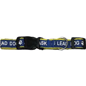 PET COLLAR LEAD DOG  S-M